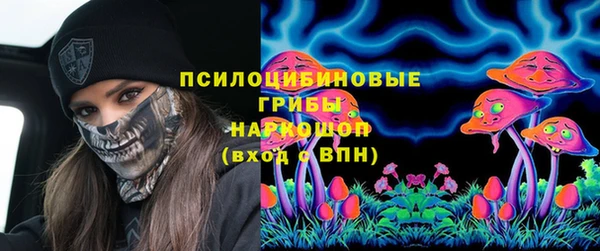 МДПВ Вязьма