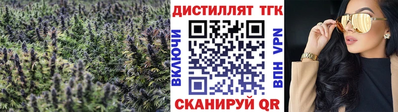 цена наркотик  Муром  ТГК гашишное масло 